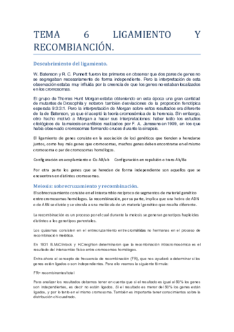 Tema 6 Genética.pdf