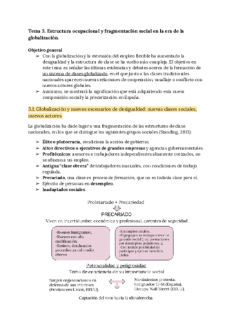 Tema 3 Estructura Social.pdf