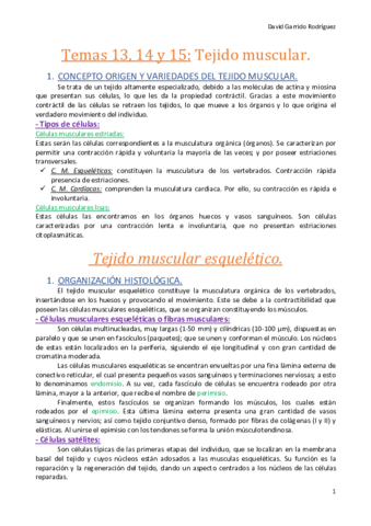 Temas 13- 14 y 15. Tejido muscular..pdf
