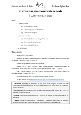 5. EL SECTOR RADIOFÓNICO.pdf