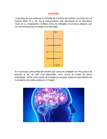 6 - Glucosa.pdf