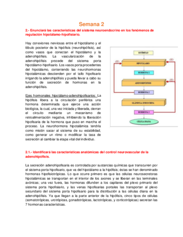 Bioca CDI - Semana 2 Hormonas II.pdf