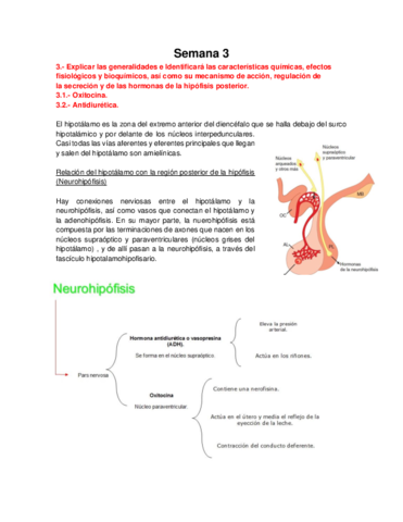 Bioca CDI - Semana 3 Oxi y ADH.pdf