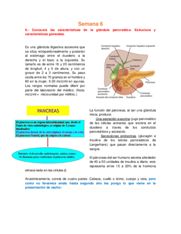 Bioca CDI - Semana 6 Insulina.pdf