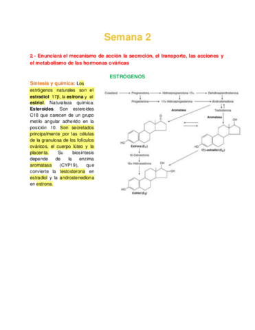 Bioca PP&PP Semana 2 - Hormonas ováricas.pdf