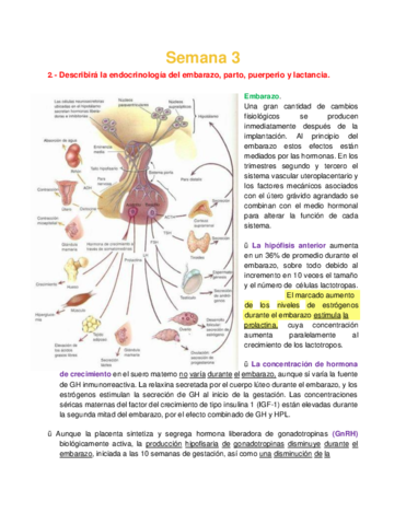 Bioca PP&PP Semana 3 - Endocrinología del embarazo y puerperio.pdf