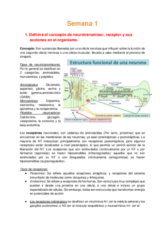 Bioca CDE Semana 1 - Neurotransmisor.pdf