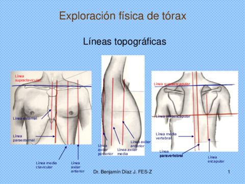Exploración física de tórax CORREGIDO.pdf