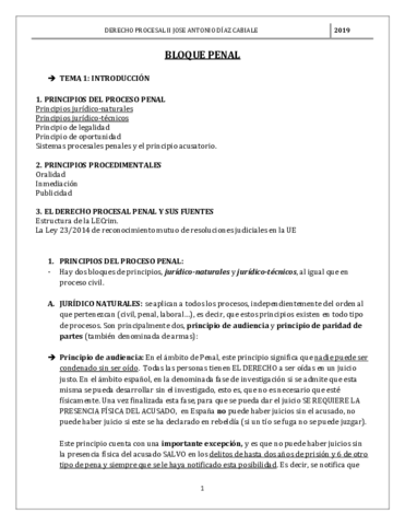 PROCESAL PENAL COMPLETO.pdf