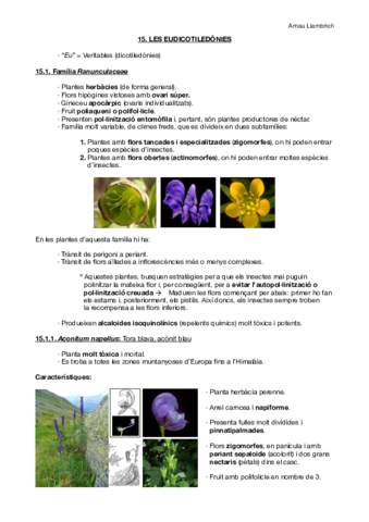Apunts botànica farmacèutica (Tema 15).pdf