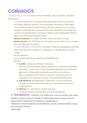resumen cordados .pdf