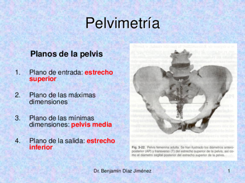 Pelvimetría.pdf