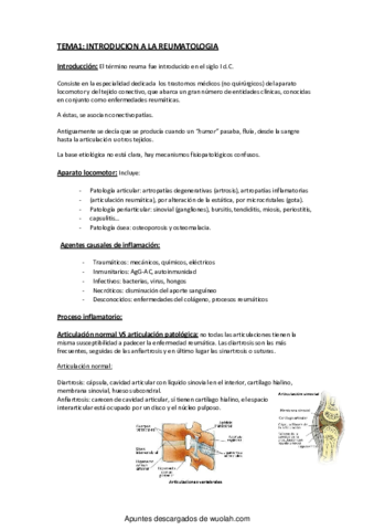 wuolah-free-TEMA 1 introducion a la reumatologia TERMINADO.pdf