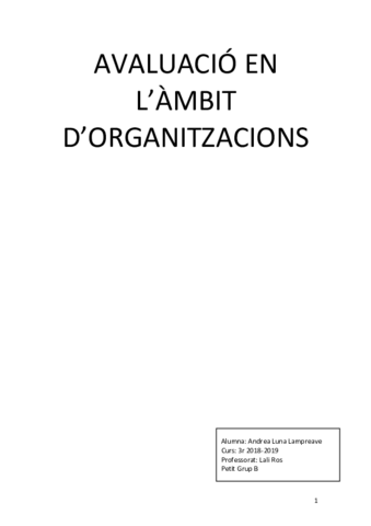 ORGANITZACIONS APUNTS.pdf