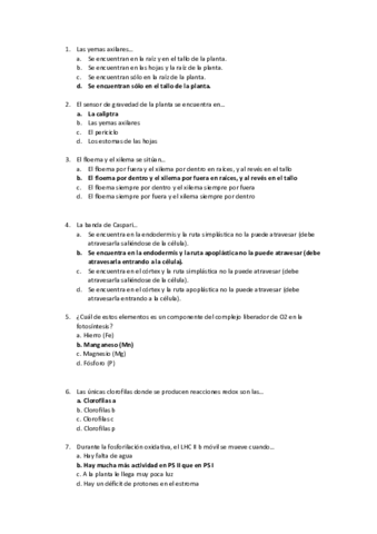 preguntas examen.pdf