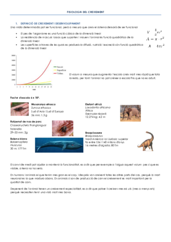 FISIOLOGIA DEL CREIXEMENT apunts.pdf