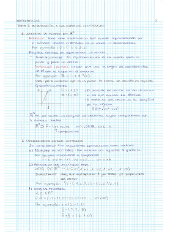 Tema_5_Matematicas.pdf