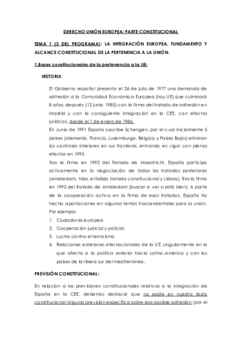 UE CONSTITUCIONAL.pdf