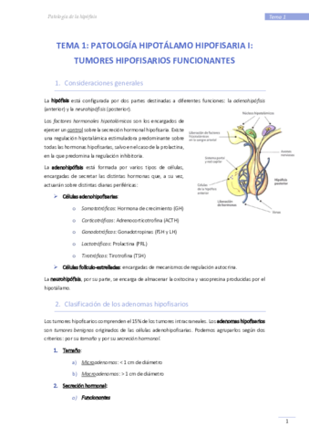 1. Patología de la hipófisis.pdf