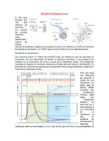 Resumen de fisiología Teoría Nervioso.pdf