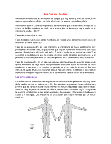 Guía Fisio lab _nervioso.pdf