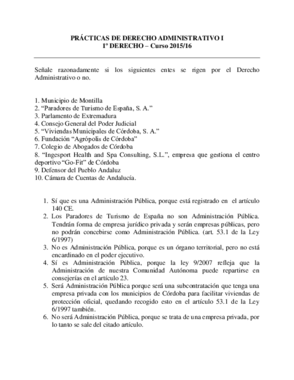 Práctica 1 Administrativo.pdf