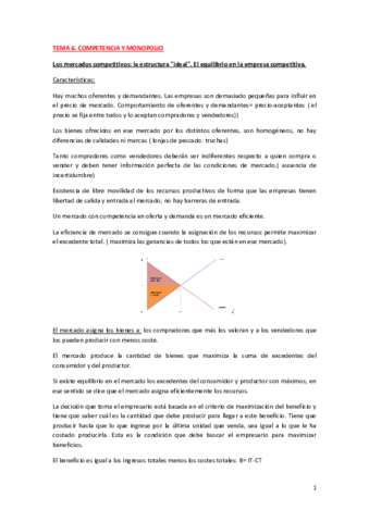 TEMA 6. COMPETENCIA Y MONOPOLIO.pdf