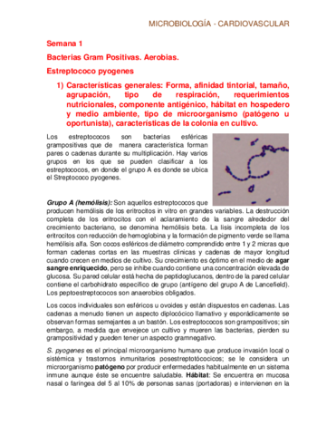 Micro - Cardio.pdf