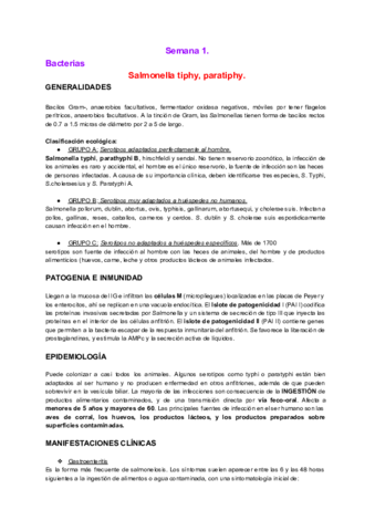 microbiologiadigestivo.pdf