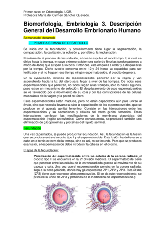 Embriología 3. Desarrollo Embrionario Humano..pdf