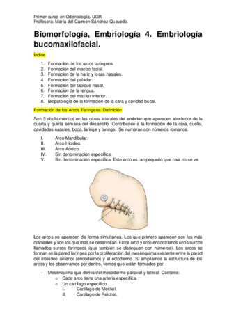 Embriología 4. Embriología Bucomaxilofacial..pdf