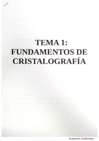 TEMA 1.pdf