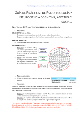 Guía de prácticas de Neurociencia.pdf