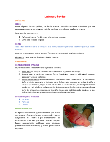 4 - Lesiones y Heridas.pdf