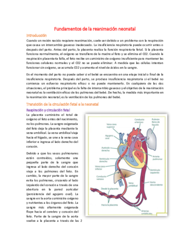 1 - RCP.pdf