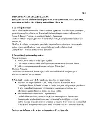 TEMA 3 IPE.pdf