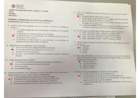 Examen Bloque 1.pdf