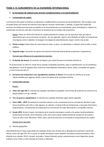 TEMA 3 EL SURGIMIENTO DE LA ECONOMÍA INTERNACIONAL.pdf