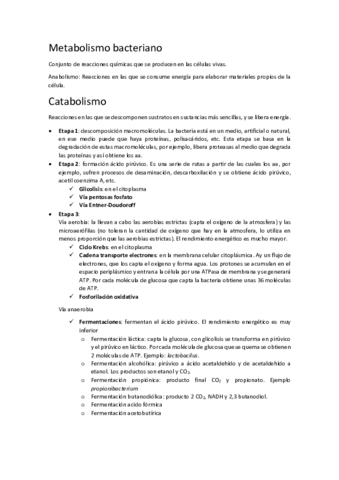Apuntes tema 5.pdf