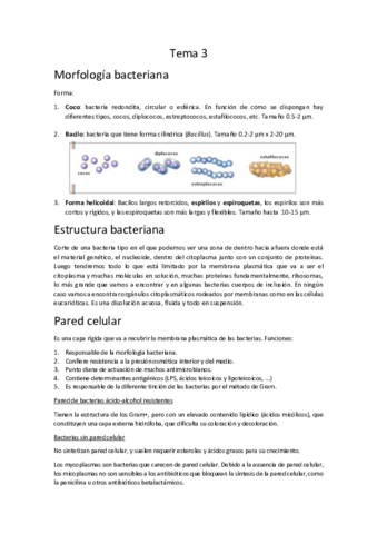 Apuntes tema 3 primera parte.pdf
