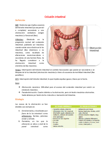 14 Oclusión intestinal.pdf