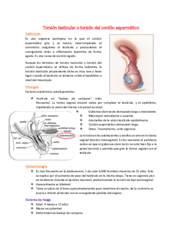 19 Torsión testicular o torsión del cordón espermático.pdf