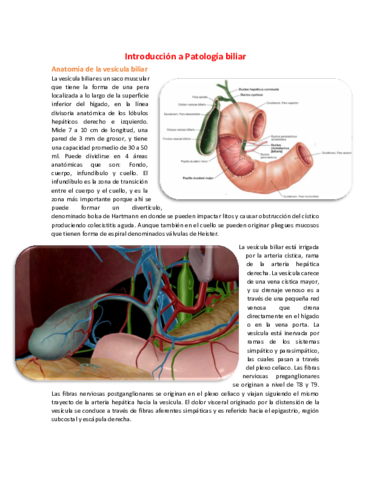 29 Introducción a Patología biliar.pdf