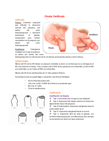 36 Fimosis & Parafimosis.pdf