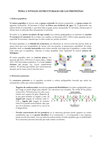 TEMA 2 PROTEINAS (5).pdf