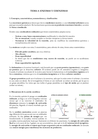 TEMA 4 ENZIMAS Y COENZIMAS (3).pdf