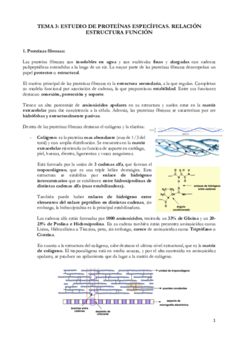 TEMA 3 HEMOGLOBINA (9).pdf