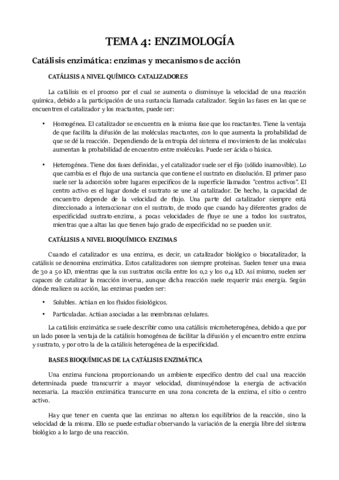 TEMA 4.pdf