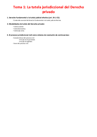 Tema 1 - La tutela jurisdiccional del Derecho privado.pdf
