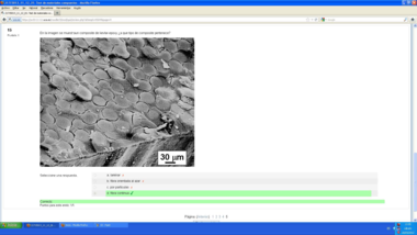 Test Compuestos 1.pdf